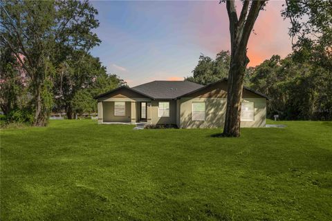 11110 OLEANDER DRIVE CLERMONT FL 34711