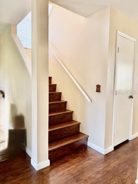 LAKE ELLEN WALK - Residential