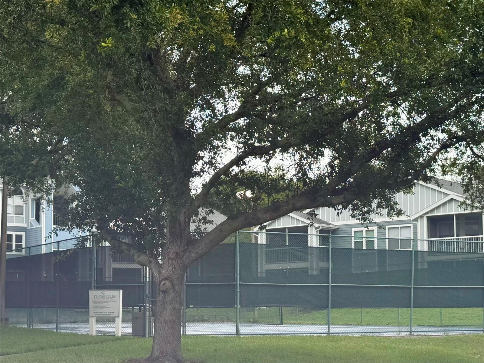 REGENCY PARK AT LAKE MARY A CONDO - Residential