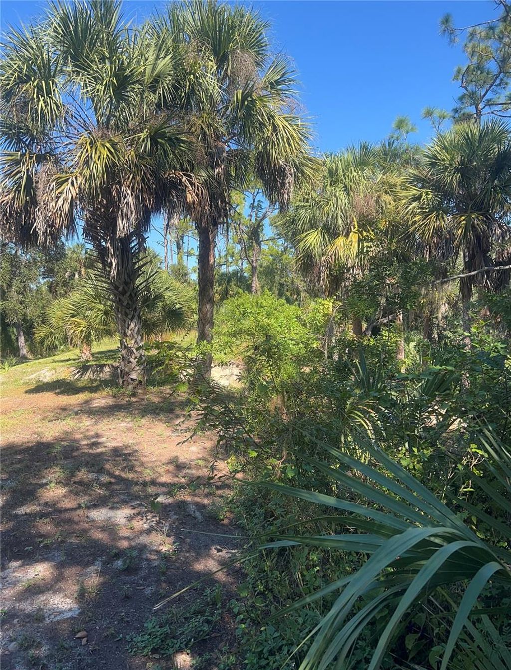 Photo of 128 Prineville Street, Port Charlotte, FL 33954 (MLS # C7517146)