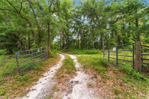 Tiny photo for 18899 SW 77th Place Road, Dunnellon, FL 34432 (MLS # OM700318)