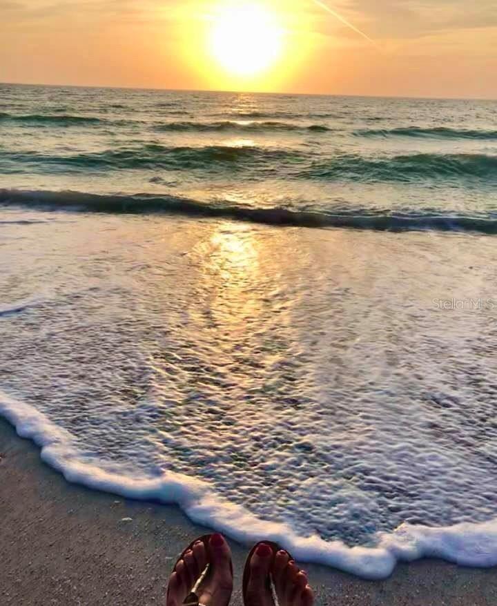 PALMA DEL MAR V - Residential