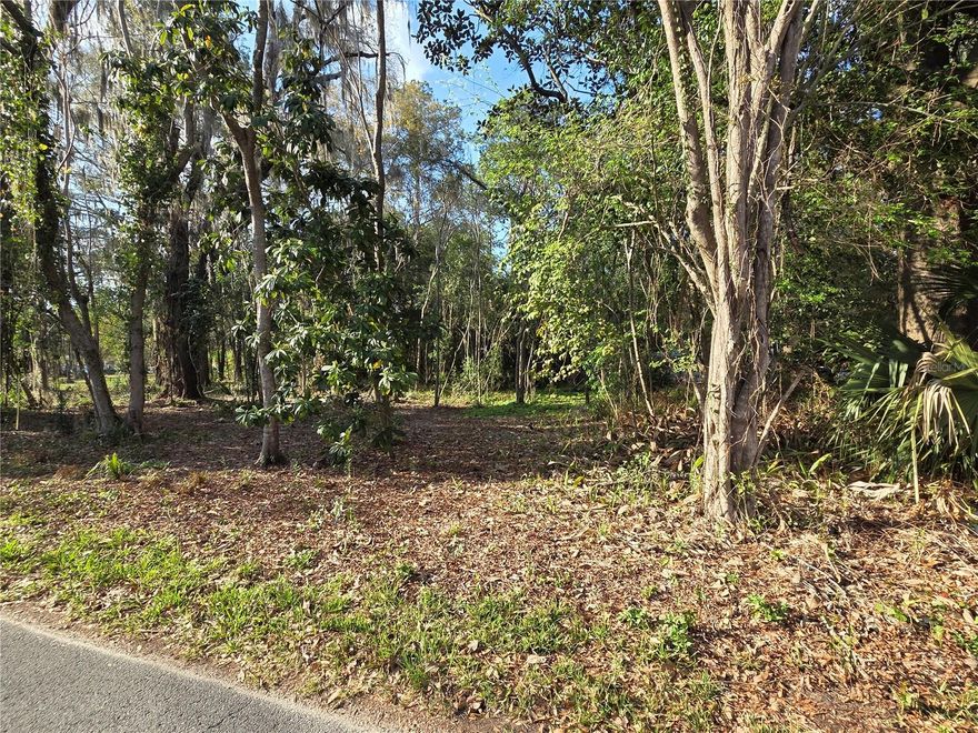 Build an income-producing property AND the home of your dreams in one of Gainesville’s most beloved neighborhoods! This is Parcel 3 of three available lots at the corner of NE 2nd Street and 13th Avenue.
Set on the edge of the Northeast Historic District, affectionately known as the Duckpond Neighborhood, this U3-zoned lot offers excellent potential for residential development, including a single-family home with the option for up to two ADUs (1 attached and 1 detached accessory dwelling units,) ideal for homeowners, builders, or investors. Public utilities are easily accessible.
Enjoy a prime location adjacent to Tom Petty Park, convenient to schools, shopping, restaurants, entertainment, and the area’s abundant recreation facilities and natural resources, all less than a 10 minute drive to the University of Florida and major hospitals. A rare opportunity to create something special in one of Gainesville’s most historic and desirable neighborhoods. Seller financing may be considered.
This listing is one of 3 adjacent parcels, 10056-001-001, 10056-001-002, 10056-001-003. These can be sold as a package or individually. The individual parcel MLS numbers are GC538302 (Parcel 1,) GC538538 (Parcel 2,) GC538541 (Parcel 3,) and the package of all three parcels is (GC538279.)