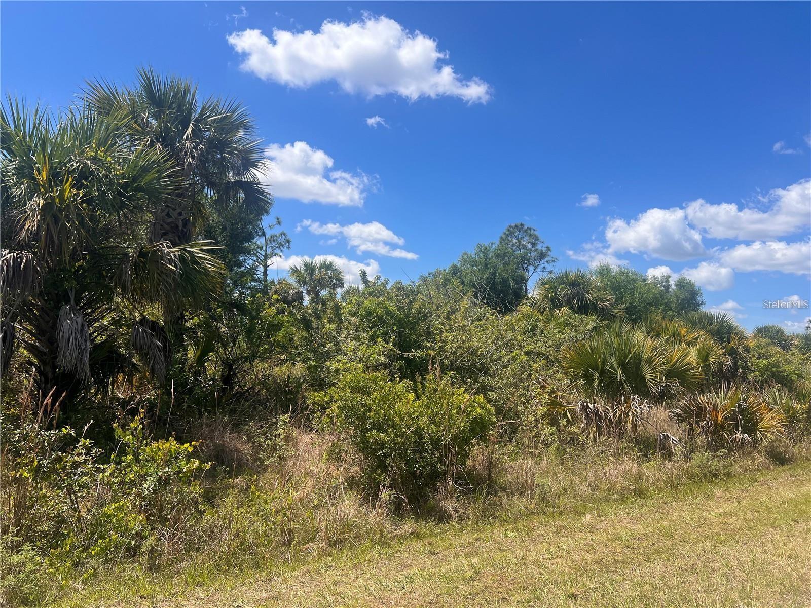 BUILDABLE Lot is located in Sarasota County, Florida. nestled amidst landscapes and a vibrant community. Situated adjacent to bustling cities like Sarasota, Venice, and Port Charlotte. Near lots of shopping and dining, this area offers a diverse array of options, from local boutiques and farmers’ markets to popular chain stores and restaurants. Entertainment for all ages. Get ready to build your dream oasis on this lot!