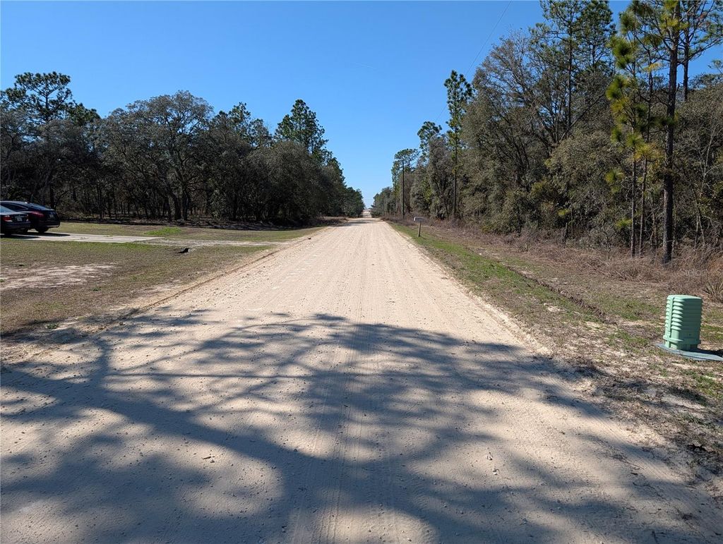 Photo of SW 81st Street, Dunnellon, FL 34432 (MLS # OM719369)
