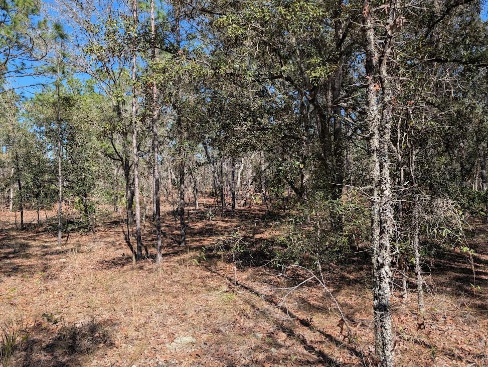 ROLLING HILLS - Land