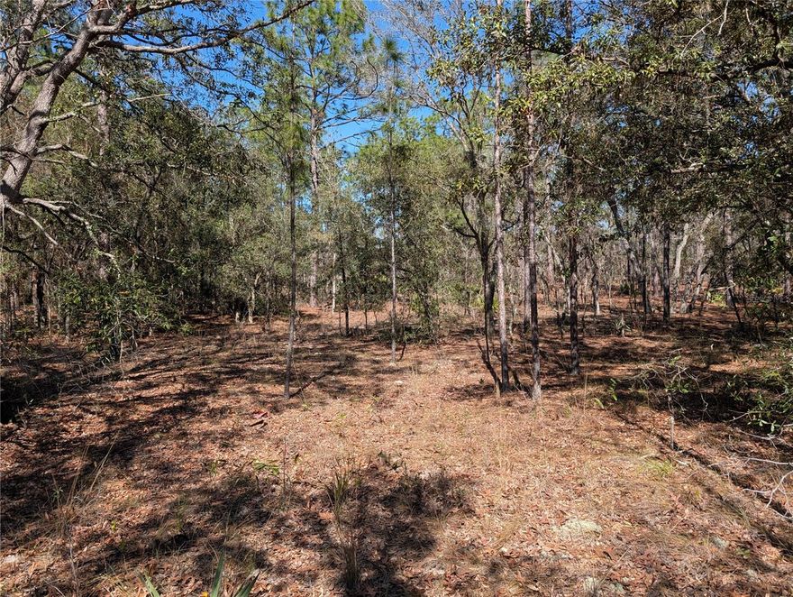 OVER ONE ACRE in fast growing Rolling Hills, not far from paved 140th Ave.  No HOA.  Zoned for houses, no mobile homes.  Close to shopping and the World Equestrian Center with all of their restaurants.  About half way between Dunnellon with its two rivers and Ocala with its shopping and hospitals.   Build your home and then you can have your barn and toys.  Newer houses across and down the street.