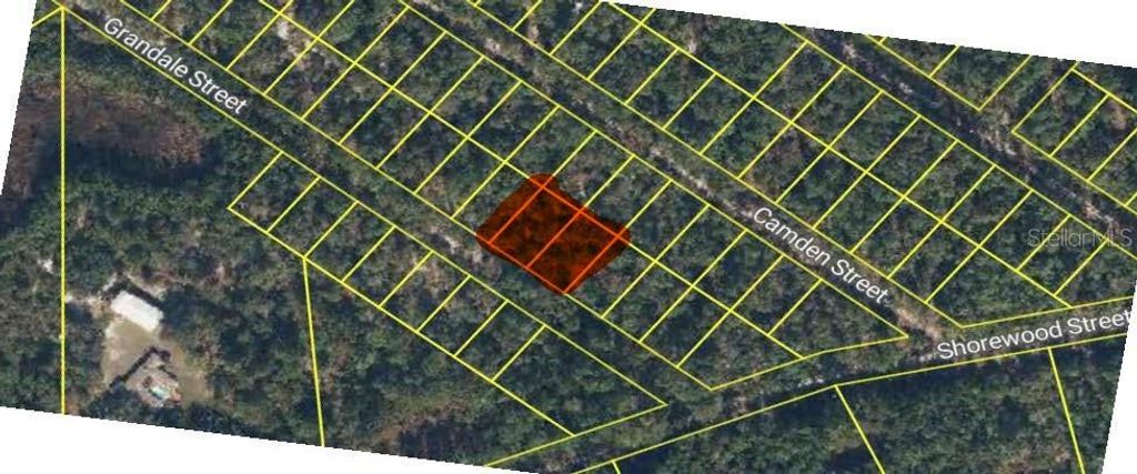 Photo of 126 Grandale Street, Georgetown, FL 32139 (MLS # O6352059)