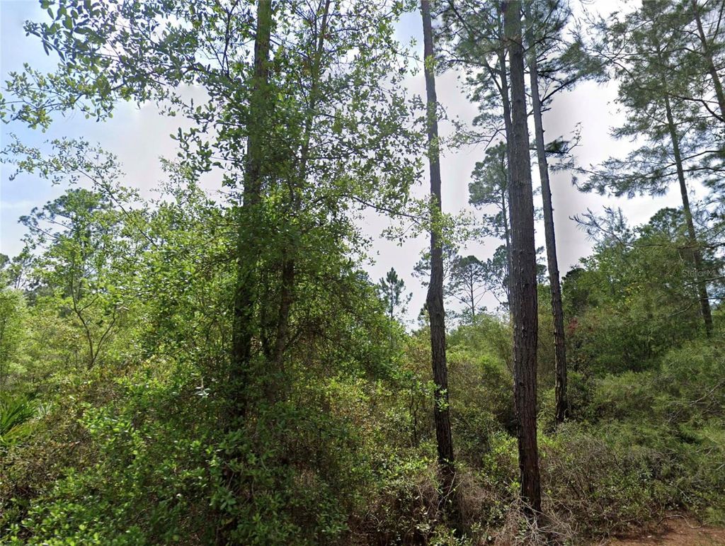 Photo of 126 Grandale Street, Georgetown, FL 32139 (MLS # O6352059)