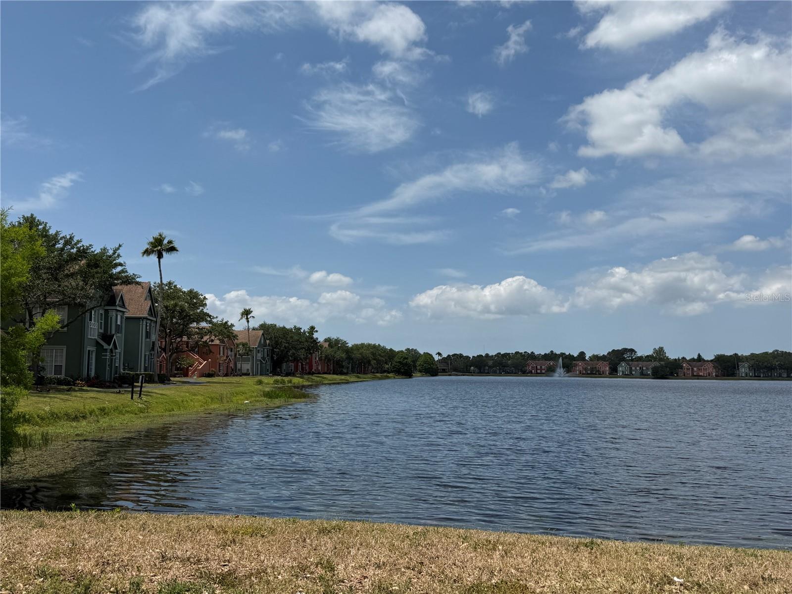 LAKE CHASE CONDO - Residential