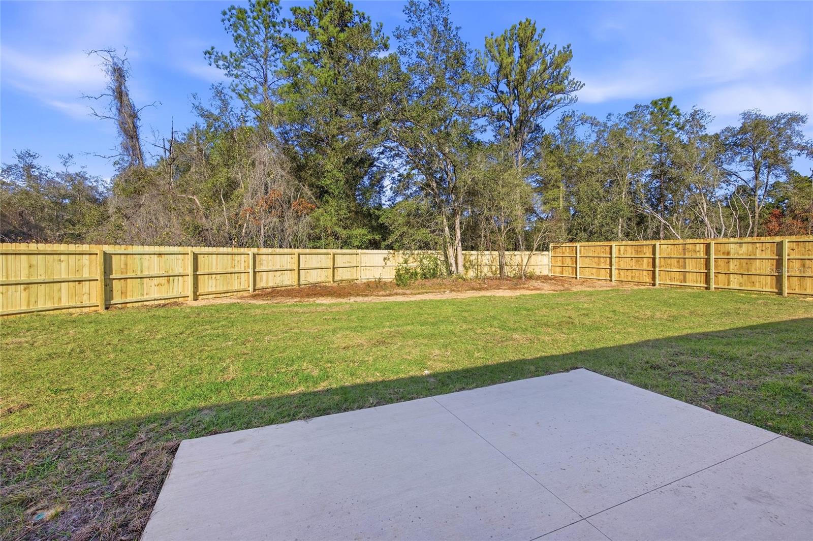 CITRUS SPRINGS - Residential