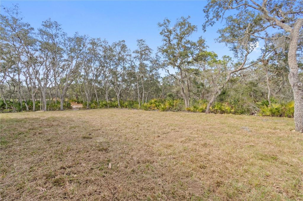 Photo of 2911 Sand Pine Trail, Frostproof, FL 33843 (MLS # O6380234)