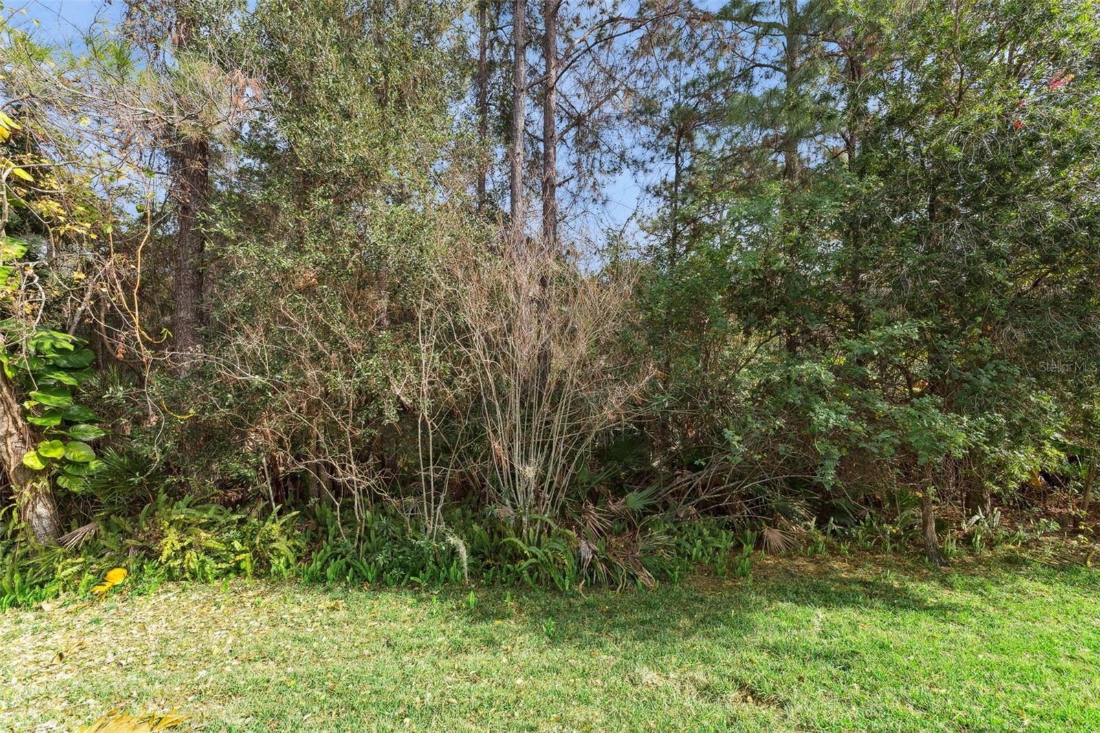 LIVE OAK RESERVE UNIT ONE - Residential