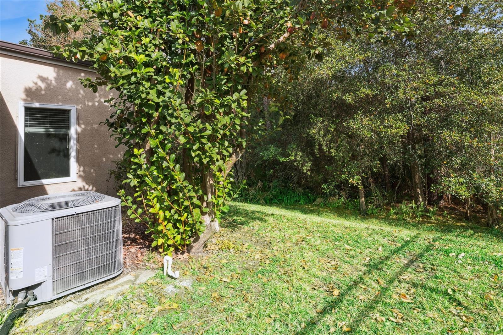 LIVE OAK RESERVE UNIT ONE - Residential