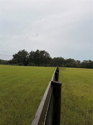 6851 SE HIGHWAY 41, MORRISTON, FL 32668 - Image 63cd6488c84315cbfbe64ddffb3c03f7/401473779
