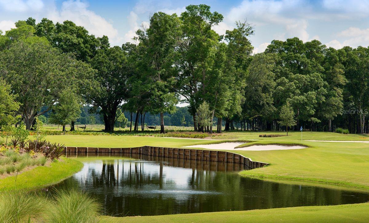 OCALA PRESERVE 9 PH 9 - Residential Lease
