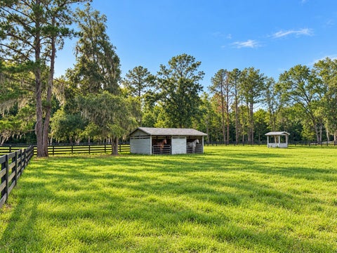 Tiny photo for 14144 NW 141st Avenue, Williston, FL 32696 (MLS # OM726613)