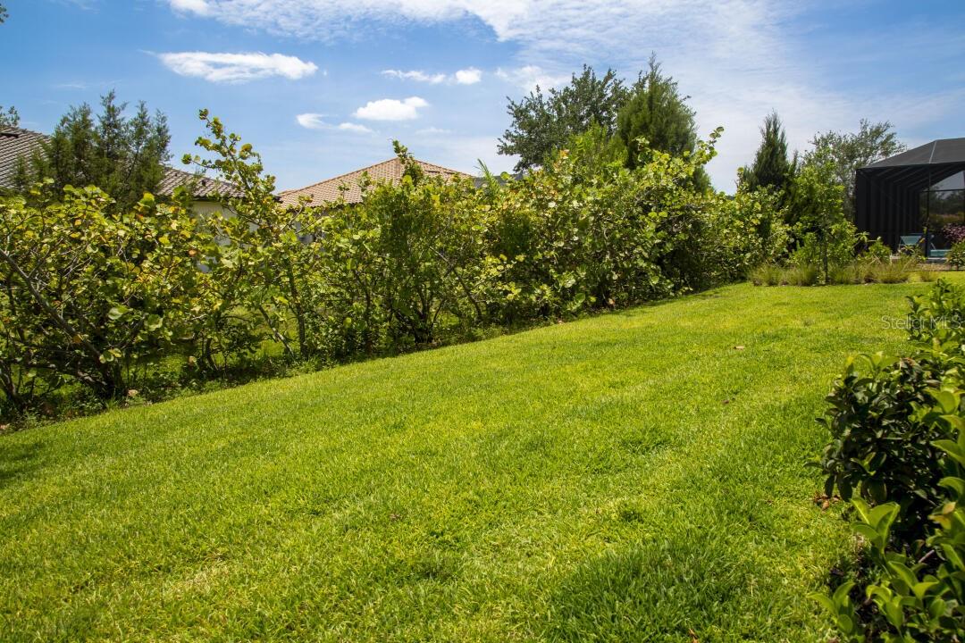 SANCTUARY COVE - Residential