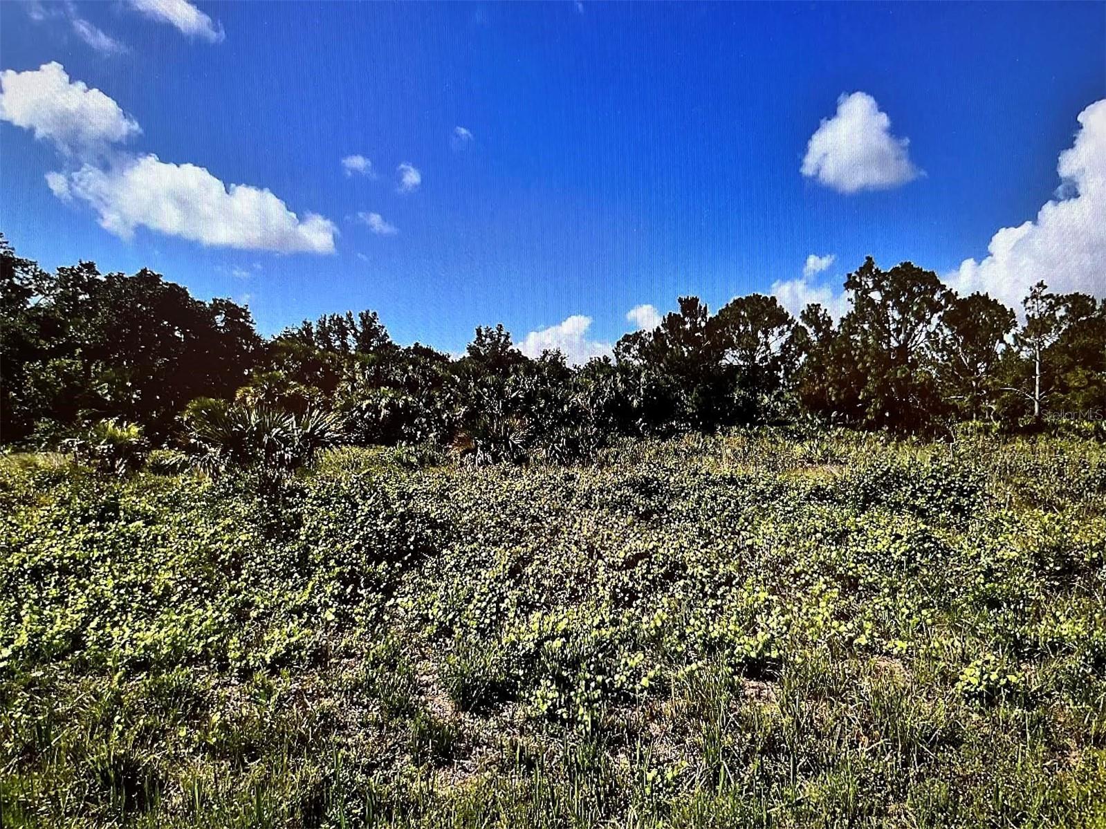 WARM MINERAL SPGS - Land