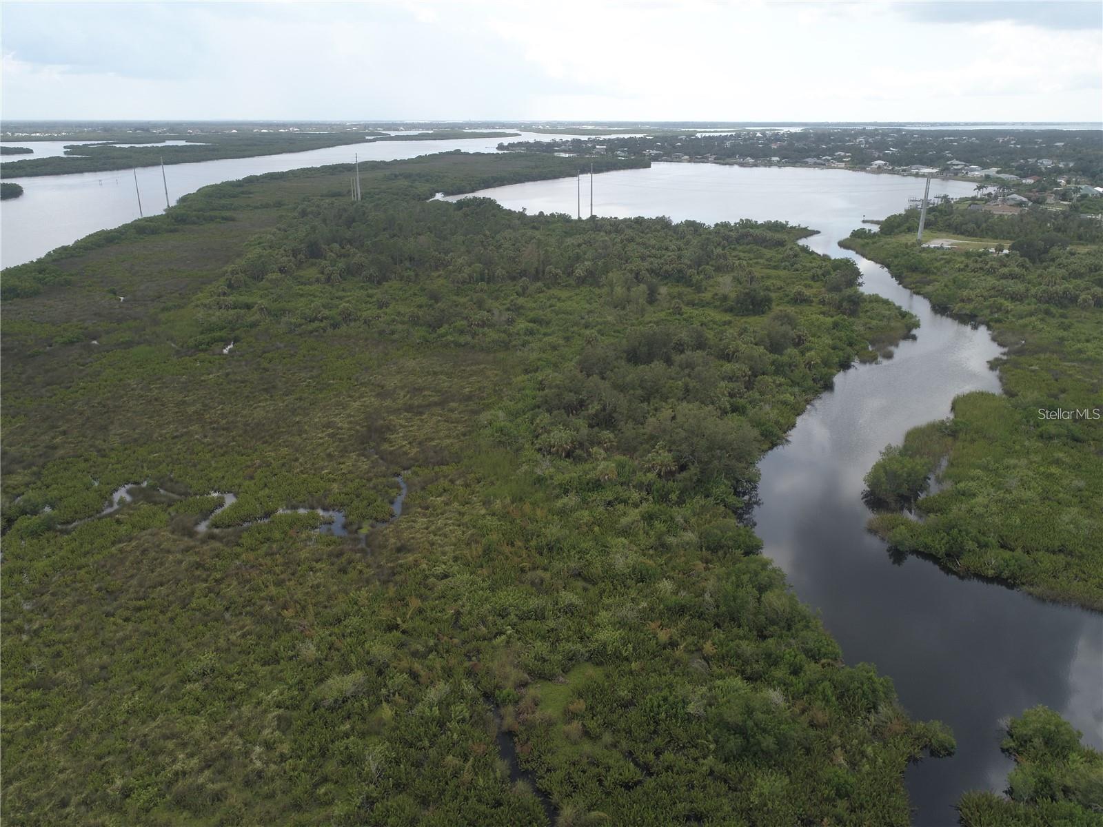 Motivated Seller - Seller financing available!!!!! Very unique vacant land.. This vacant lot is located near the Peace River in Punta Gorda. It is a oversized lot that is perfect for investment property. Don't miss this one; make your offer today!