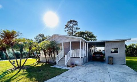1995 PINEWOOD LANE MOUNT DORA FL 32757