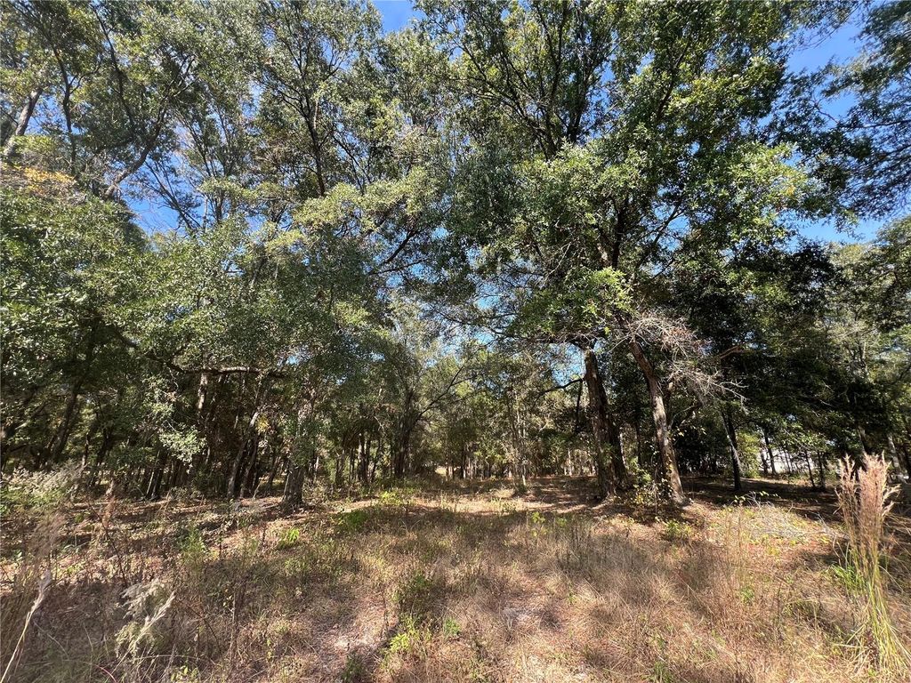 Photo of 13465 SW 100th Street, Dunnellon, FL 34432 (MLS # OM713566)