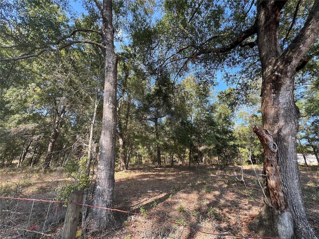 Photo of 13465 SW 100th Street, Dunnellon, FL 34432 (MLS # OM713566)