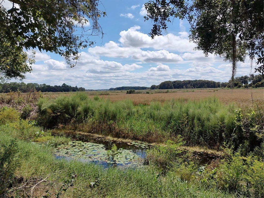 Photo of 6090 N Bayfront Drive, Hernando, FL 34442 (MLS # OM732914)