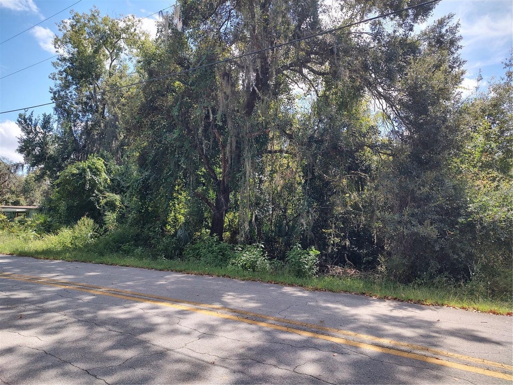 Photo of 6090 N Bayfront Drive, Hernando, FL 34442 (MLS # OM732914)