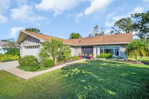 Photo of 1658 Macdonnell Court, Palm Harbor, FL 34684 (MLS # TB8462135)