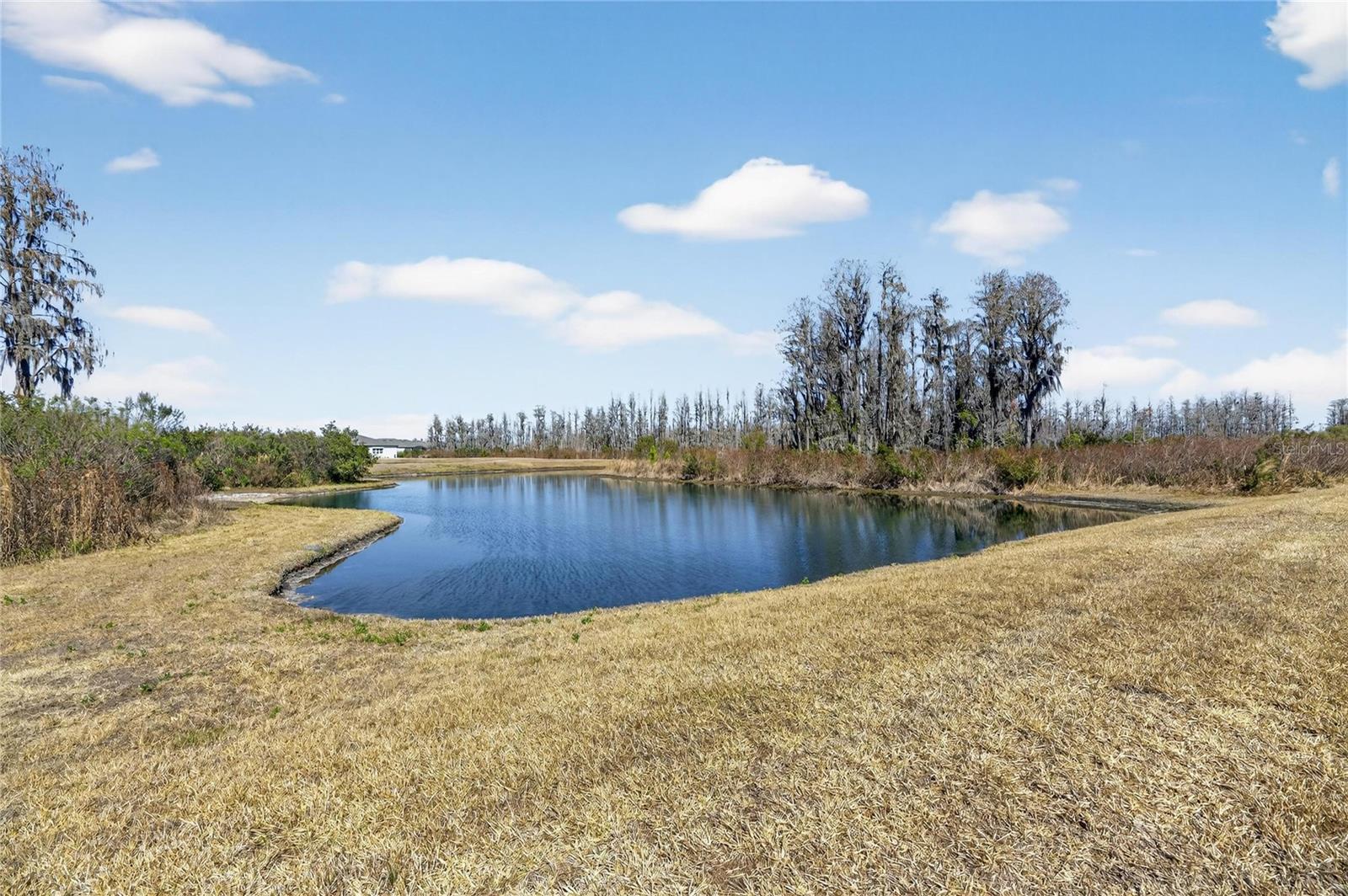 DEL WEBB BEXLEY PH 4 - Residential