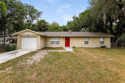 441 S SPARKMAN AVENUE ORANGE CITY FL 32763