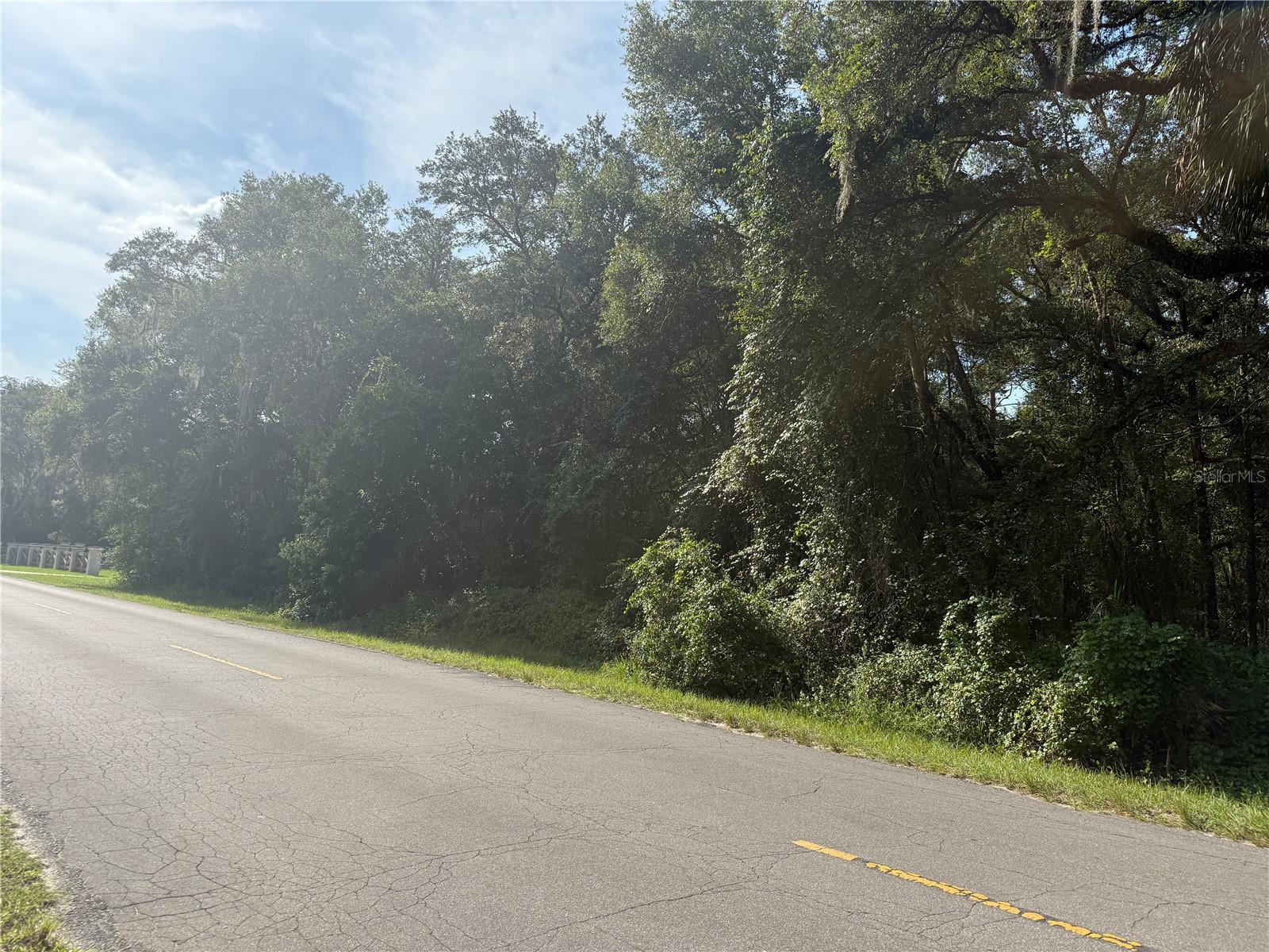 1.25 acre lot located in a high growth area in Dunnellon Florida ideal for agricultural use allows you to have animals such as horses cows chickens and more paved road quick access to main routes and just minutes from the famous Rainbow River is not in a flood zone without CDD or HOA excellent opportunity to build invest or enjoy country living with total freedom we also have an additional adjacent lot of the same size with parcel number 4088-247-000 schedule your appointment today