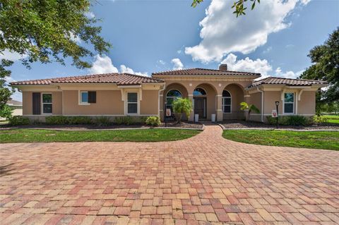 Photo of 5207 Lake Venice Drive, Wimauma, FL 33598 (MLS # TB8532203)
