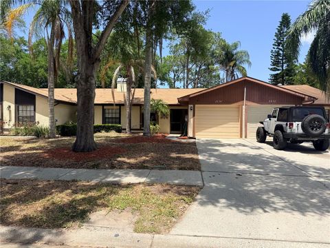 Photo of 2034 Montego Court, Oldsmar, FL 34677 (MLS # TB8506783)