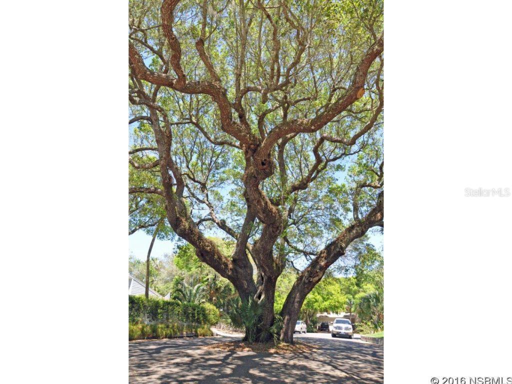 South Saxon - Residential