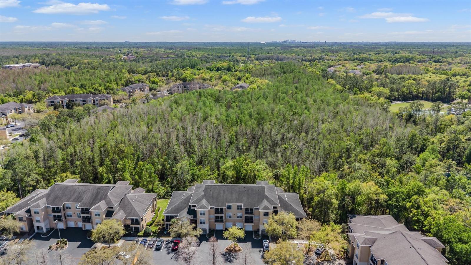 OXFORD PLACE AT TAMPA PALMS A - Residential