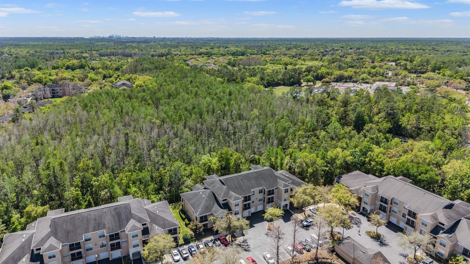 OXFORD PLACE AT TAMPA PALMS A - Residential