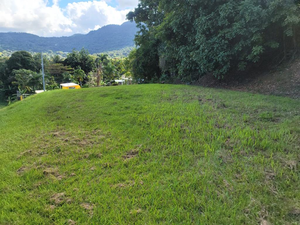 Beautiful land located in Colinas del Yunque in Rio Grande. It has 1600m. Ideal to build the property of your dreams. Whether it's for Airbnb or your ideal home. Quiet area minutes from road #3. Overlooking the wonderful and unique Tropical Forest, El Yunque. It already has facilities to connect water (connected to the sewer) and electricity duly certified. Come and take advantage! Don't let someone else enjoy what you dream of.