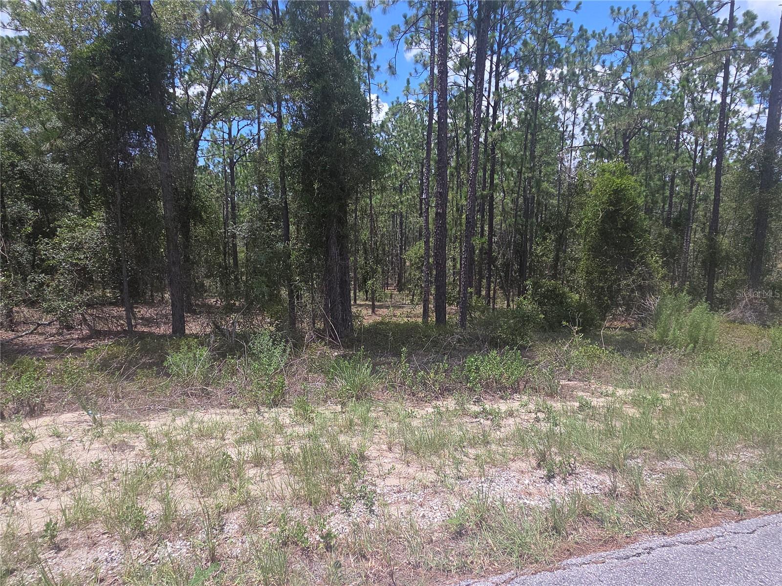 This lot is truly remarkable. As you can see in the pictures the tree growth is sporadic and the tree height is at a minimum so this lot can be easily cleared. A whole acre of land is here and buildable. There is some growth in this neighborhood with new homes being built however on Tamiami there are only 2 homes at this time on the whole street so there is a hard to find feeling of being in a rural community. There is no HOA but you will have access to 2 parks and a lake that provides excellent fishing opportunities. This community offers many amenities including a clubhouse, community center, youth center, library, and 2 parks one of which is on Lake Bonable. There is also a shuffleboard court and a horseshoe court. What a great place to have adventures with your family or friends who come to visit! Rainbow Springs, KP Hole, public golf courses and much more are nearby. Rainbow Lakes Estates MSD is to provide quality recreational opportunities and facilities to the residents and property owners. The community center, clubhouse, courts and ball fields are maintained through the collection of an assessment, which is part of the non ad valorem taxes on your annual real estate tax bill. The town of Dunnellon is about 15 minutes away. There you will have a Walmart and a Publix. There are numerous restaurants including Chinese, Pizza, Coffee at Dunkin, Swampy's Bar and Grill right on the beautiful and popular Rainbow River. Downtown Dunnellon has several antique stores that are in 2 story historic homes and they are such a pleasure to walk through. At Christmas I shopped Downtown Dunnellon antique stores and found several nice unique gifts. There are so many nice things that I could point out about this area but they are just too numerous for this platform. I suggest that you take a ride out there and see for yourself all of the golden opportunities this area offers. There is a newer hotel in Dunnellon that could be used for an overnight stay then you could adventure out again!