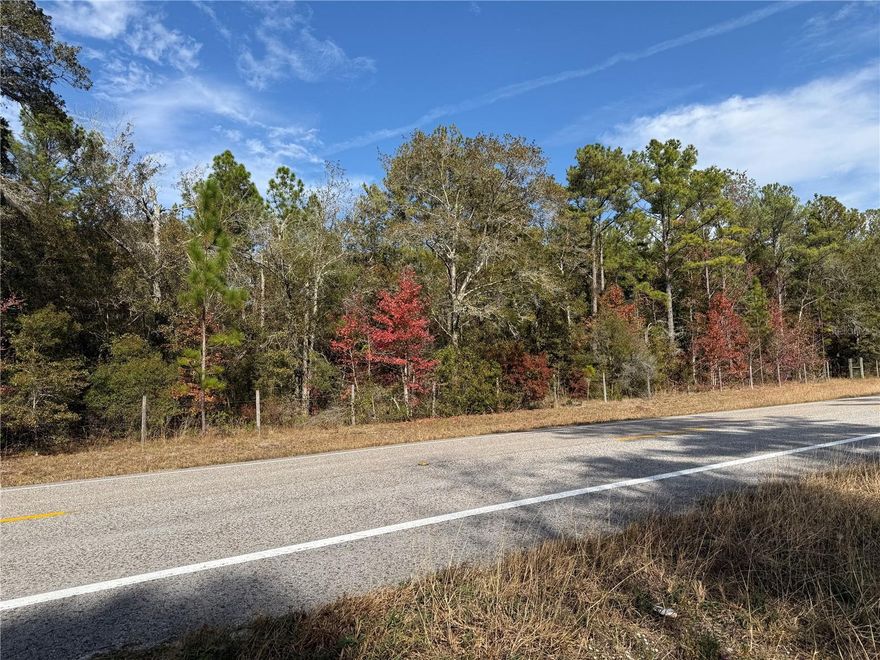Auction Property. THIS PROPERTY IS BEING SOLD AT ABSOLUTE AUCTION. The $10,000. shown is just a beginning price. YOU CAN BID NOW, BIDDING ENDS ON FEB 5th at NOON!  . Property has volunteer pines, other trees, and underbrush.  It fronts right on CR225 about a mile East of CR1475 on the North side of the road.  Look for Auction sign. You can check the property out at your convenience.  Adjoining 18+ acres to the East of this property scheduled to be auctioned later.  Since this is vacant land, there has been no address assigned, therefore the address number shown herein is property close by, see Sign. White pipe markers are believed to be the property line but not guaranteed..