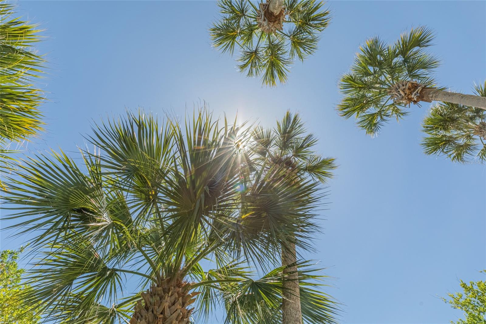 CANOPY WALK - Residential