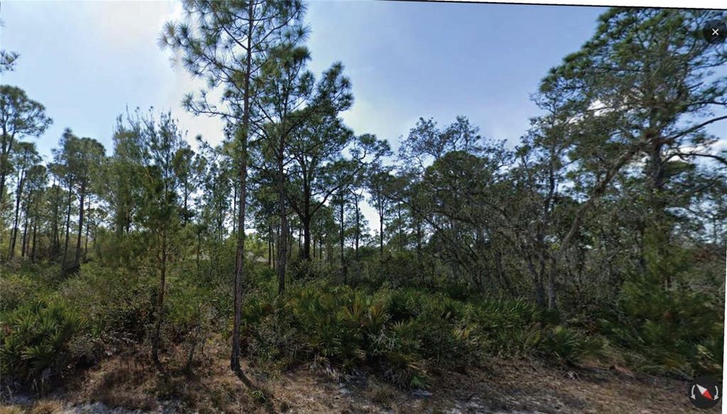 Photo of 1158 Cockatoo Avenue, Lake Placid, FL 33852 (MLS # O6252378)