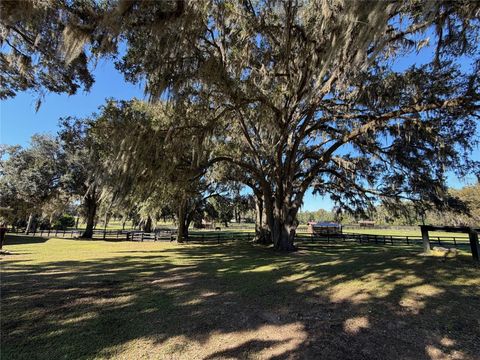 Tiny photo for 8820 NW 130th Street, Reddick, FL 32686 (MLS # OM713052)