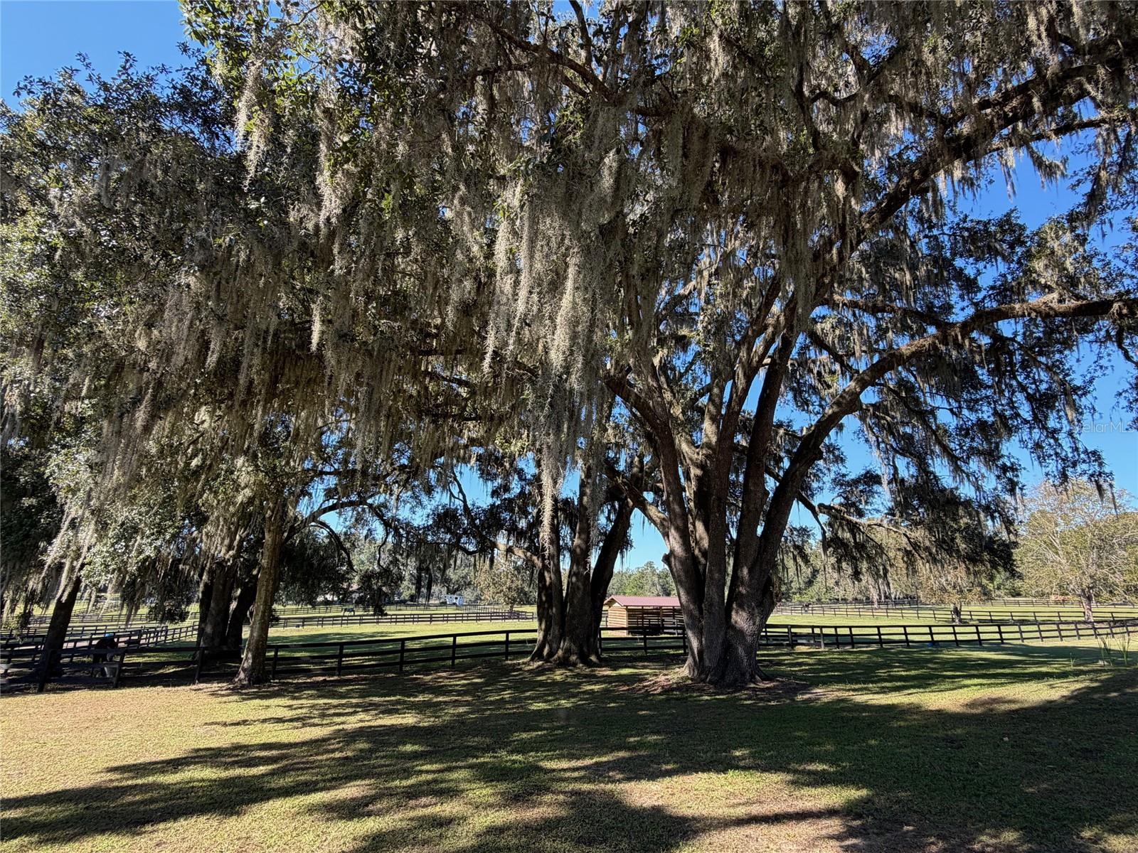 FIELD/DREAMS - Residential