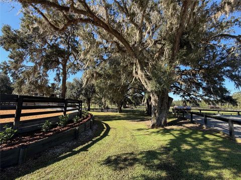 Tiny photo for 8820 NW 130th Street, Reddick, FL 32686 (MLS # OM713052)