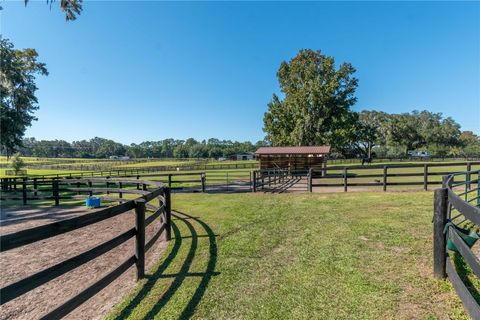 Tiny photo for 8820 NW 130th Street, Reddick, FL 32686 (MLS # OM713052)