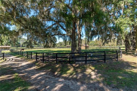 Tiny photo for 8820 NW 130th Street, Reddick, FL 32686 (MLS # OM713052)