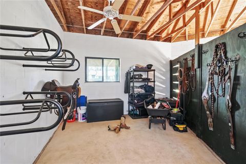 Tiny photo for 8820 NW 130th Street, Reddick, FL 32686 (MLS # OM713052)