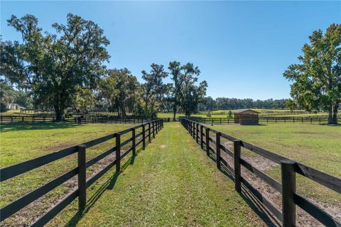 Tiny photo for 8820 NW 130th Street, Reddick, FL 32686 (MLS # OM713052)